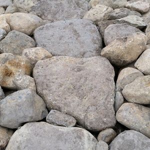 Meet your Posher, Misty